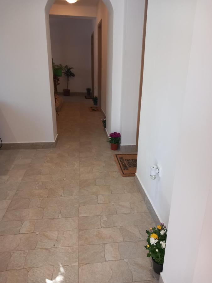 Стаи За Гости - Цветето На Ангела Bankya Buitenkant foto